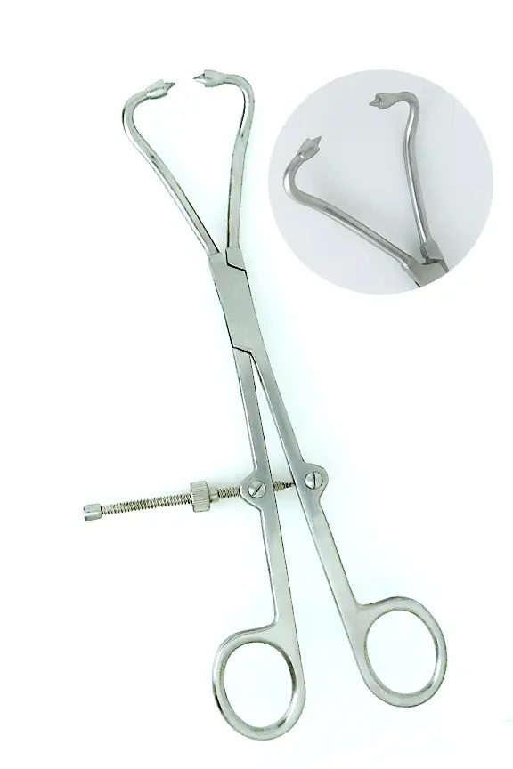 Orthopedic Bone Fragment Clamps